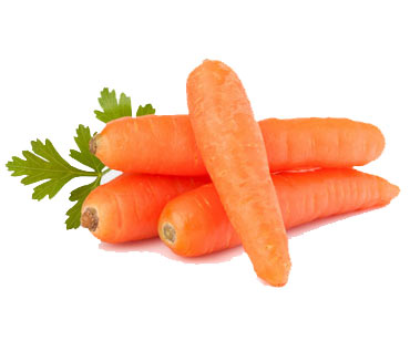 carrots export