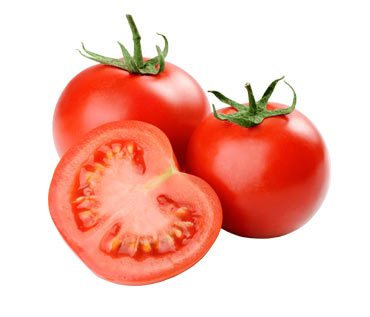 tomato export