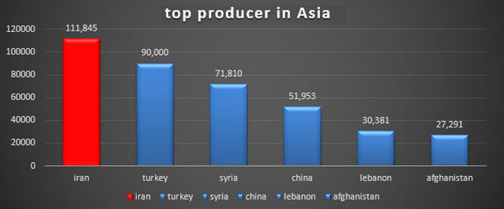 the top Asian producers