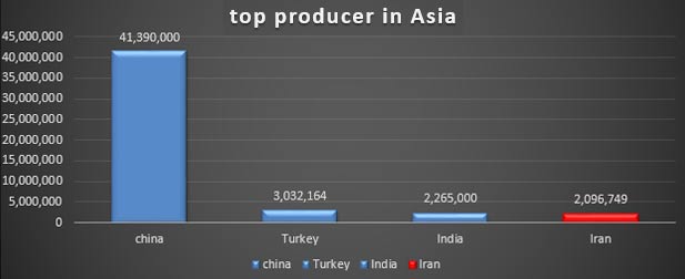 Apple producer of Asia