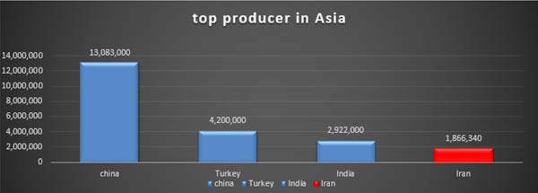 Asia-producer-of-Grape