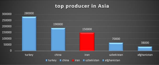 raisins producer