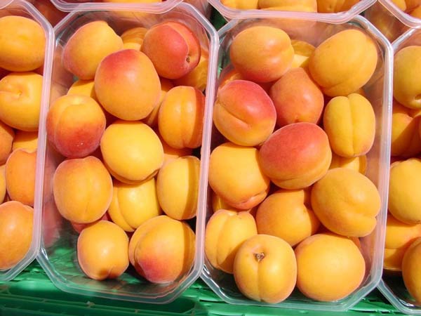 apricot packaging