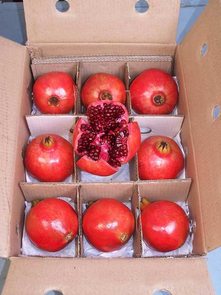 export of pomegranates