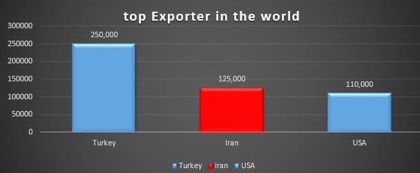 raisins exporters