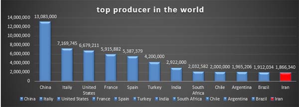 ranking of Grape producer